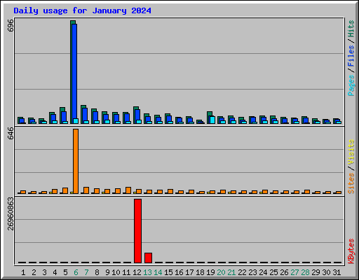 Daily usage for January 2024