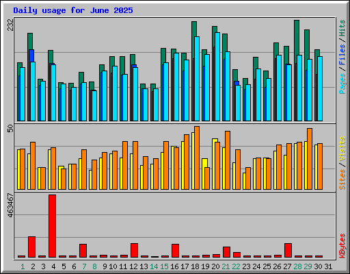 Daily usage for June 2025