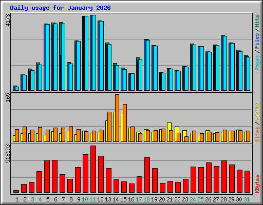 Daily usage for January 2026