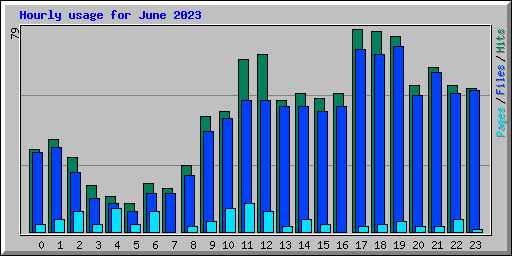 Hourly usage for June 2023