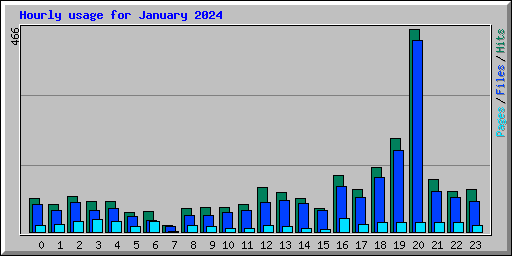 Hourly usage for January 2024