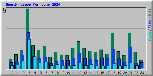 Hourly usage for June 2024