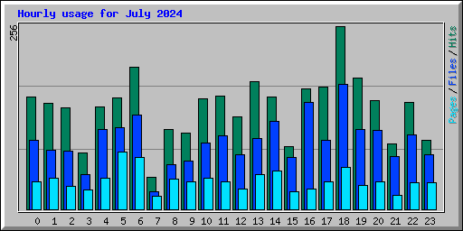 Hourly usage for July 2024