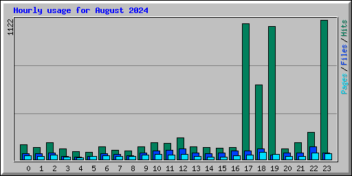 Hourly usage for August 2024