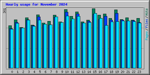 Hourly usage for November 2024