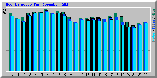 Hourly usage for December 2024