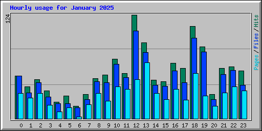 Hourly usage for January 2025