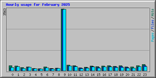 Hourly usage for February 2025