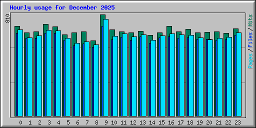 Hourly usage for December 2025