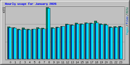 Hourly usage for January 2026