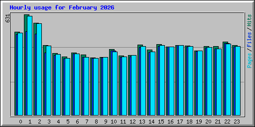 Hourly usage for February 2026